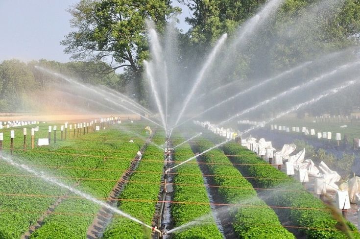 Manchukonda Lift Irrigation Project Benefits Farmers 1852997948ba743a4e671ec006bcf699