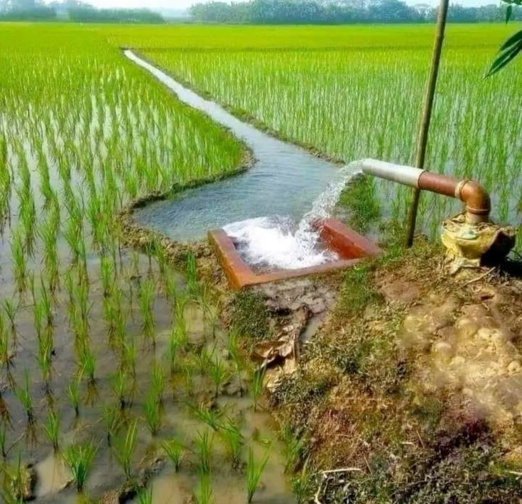 Sitarama Project Brings Hope to Khammam Farmers 246aaecccddce204869b6179a85dd5fc