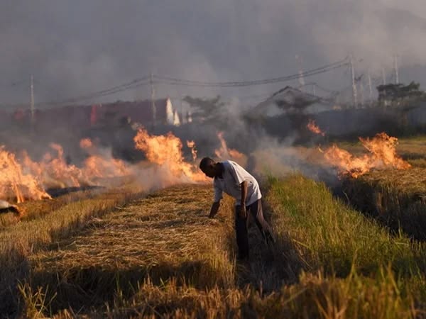 Stubble Burning Emerges as a New Agricultural Challenge f93b8647f11cd643eac602d9e513fed1
